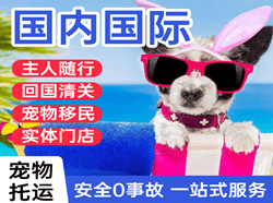 布拉克机场邮寄国际宠物托运 【国